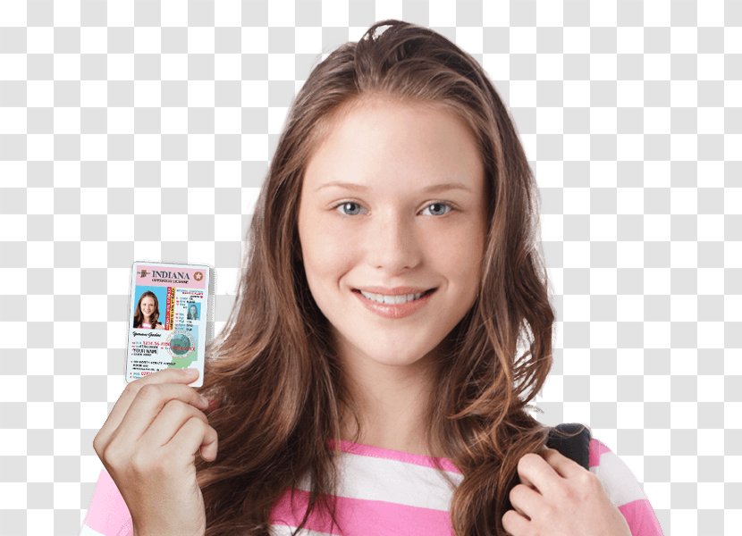 Learner's Permit Driving Driver's Education License - Cartoon Transparent PNG