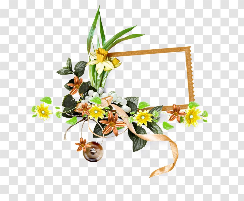 Floral Spring Flowers - Branch - Wildflower Moth Orchid Transparent PNG