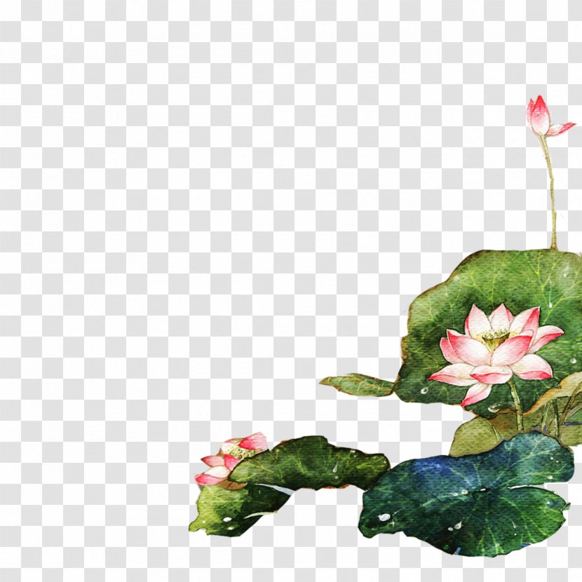 Download Green - Floral Design - Hand-painted Lotus Transparent PNG