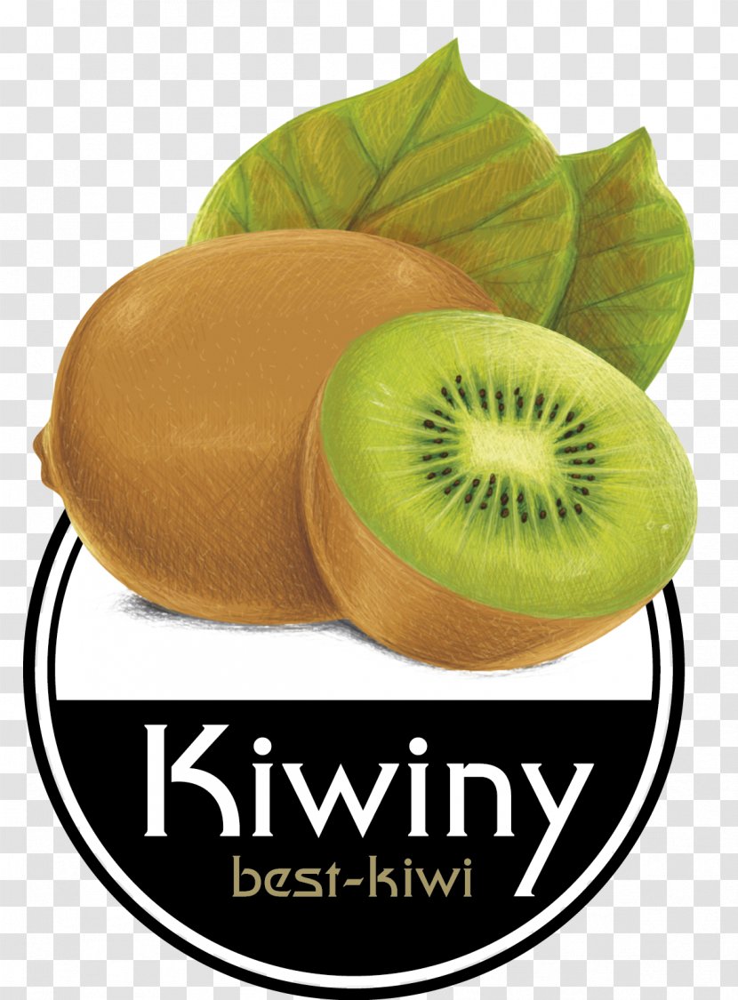 Kiwifruit Smoothie Juice Kiwiny S.r.l.s. Purée Transparent PNG