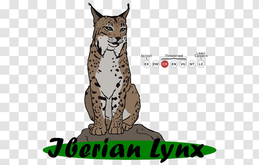 Whiskers Ocelot Wildcat Bobcat Cheetah - Wild Cat Transparent PNG