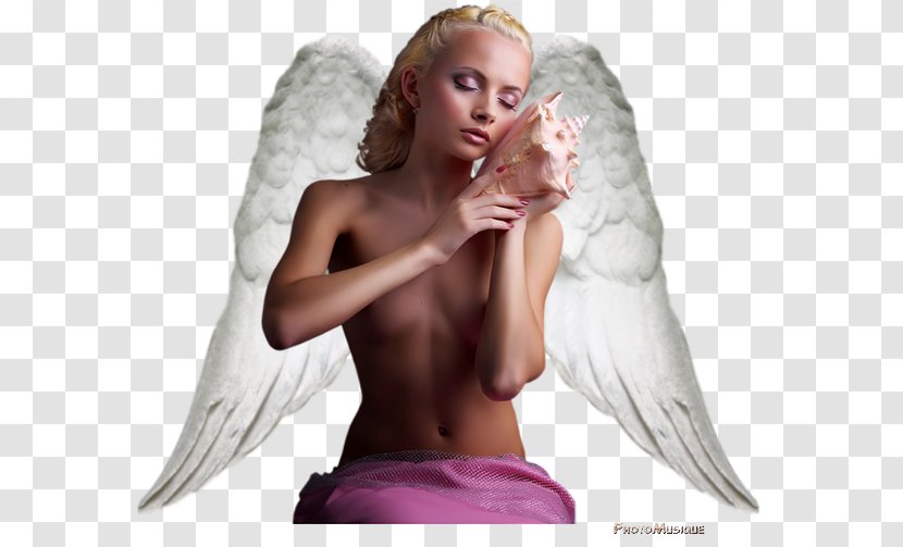 Angel Aile Wing Feather Week Transparent PNG