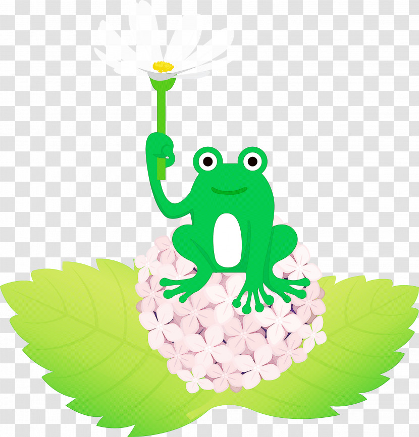 Frogs Cartoon Tree Frog Green Science Transparent PNG