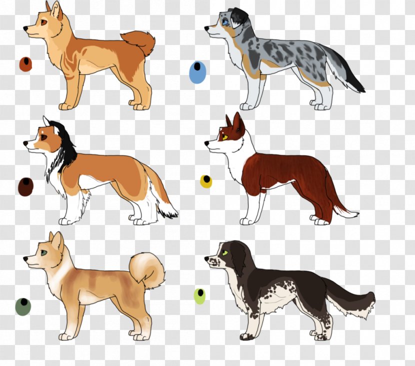Dog Breed Cat Mammal Tail Transparent PNG