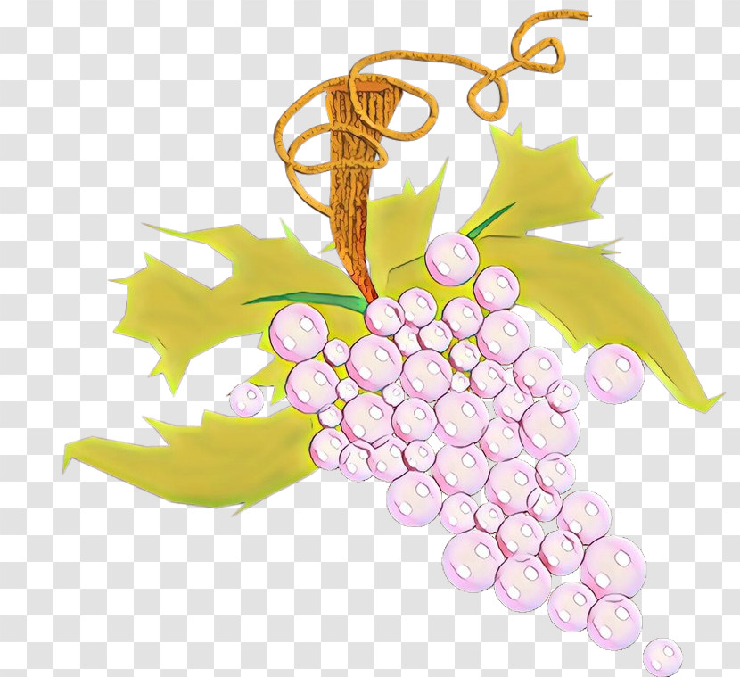 Grape Grapevine Family Leaf Vitis Plant Transparent PNG