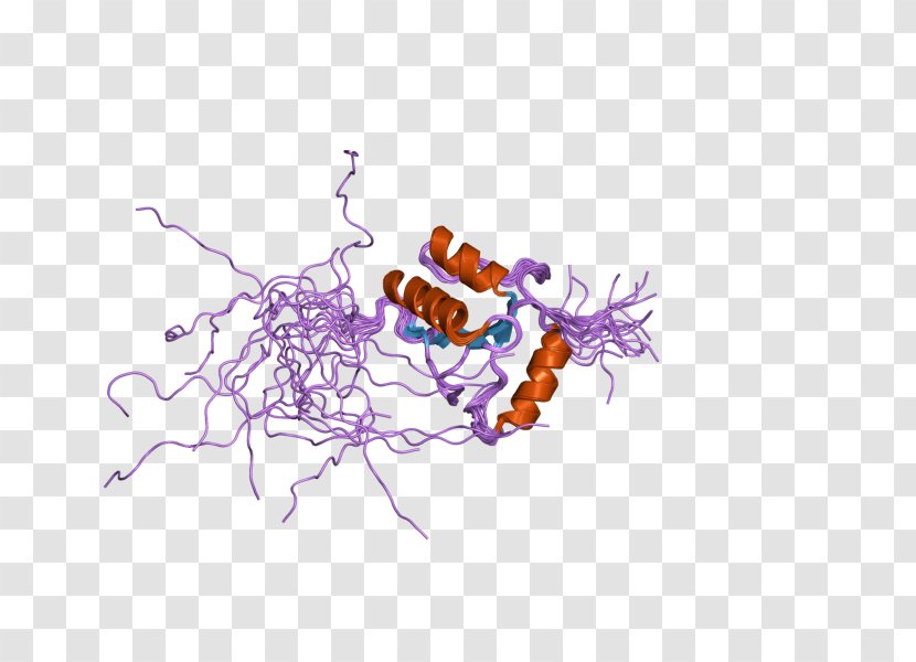 Terminal Deoxynucleotidyl Transferase Nucleotidyltransferase DNA Enzyme - Journal Of Biological Chemistry - Calf Transparent PNG