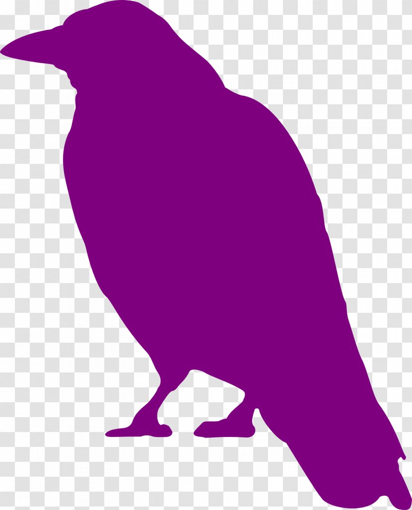 Common Raven Bird Crow Silhouette Clip Art - Animal Silhouettes Transparent PNG