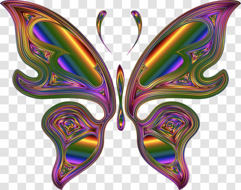 Butterfly Clip Art - Color Transparent PNG