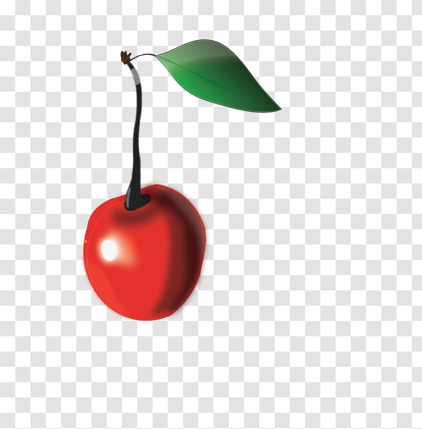 Cherry Drawing Production Artist Transparent PNG