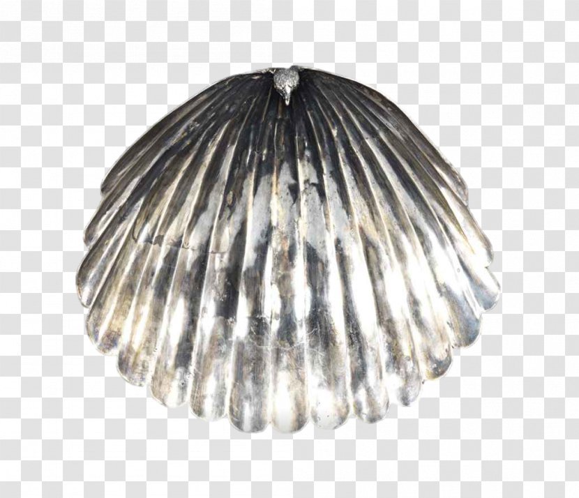 Domvs Romana Tableware Silver Plate - Clams Oysters Mussels And Scallops - Table Transparent PNG