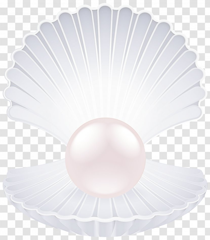 White Coffee Filter Pearl Ceiling Transparent PNG