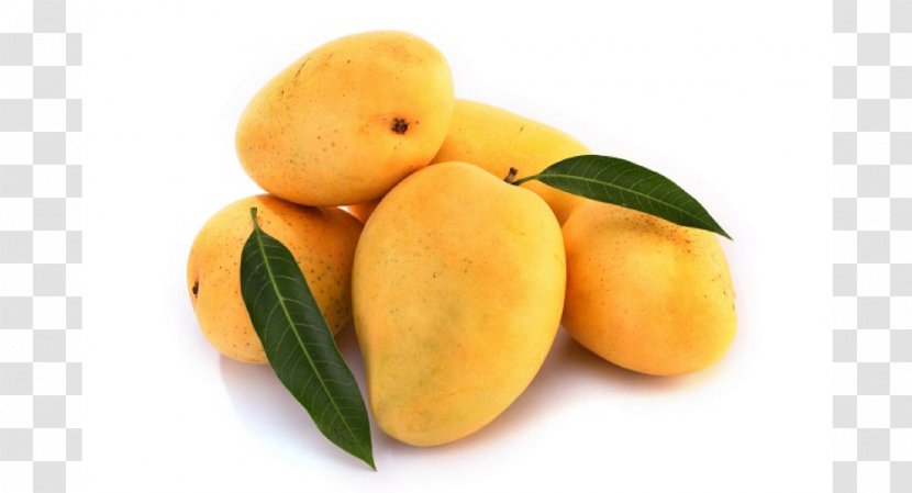 Gir Kesar Mango Alphonso Saffron Girnar - Diet Food Transparent PNG