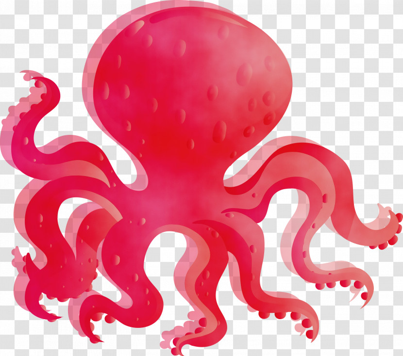 Octopus Giant Pacific Octopus Octopus Red Pink Transparent PNG