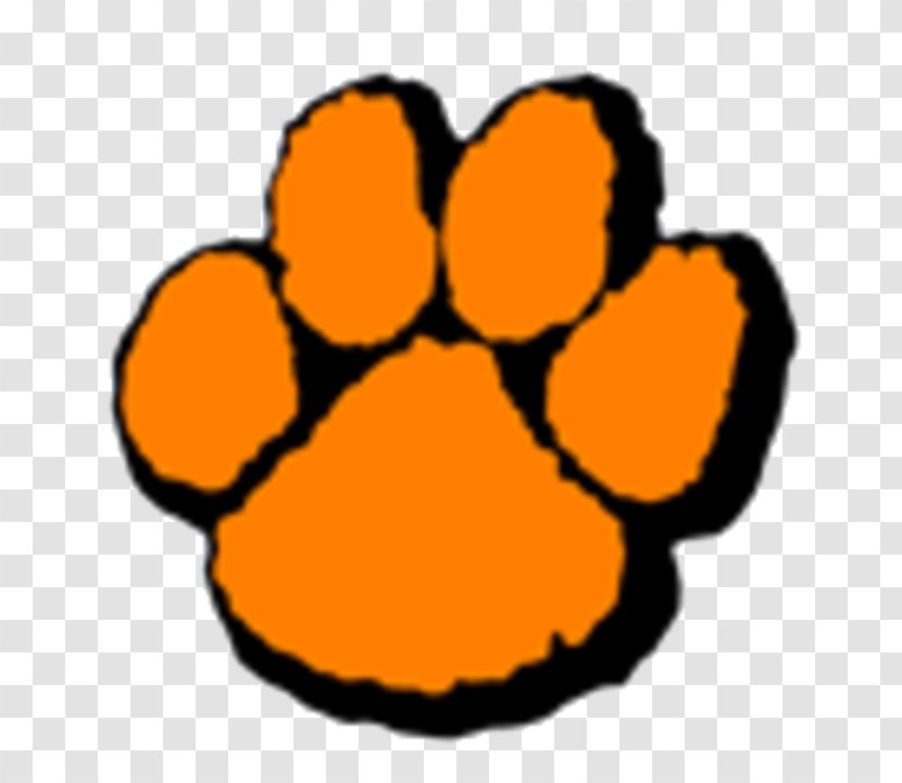 Wheaton Warrenville South High School Middle National Secondary - Snout Transparent PNG