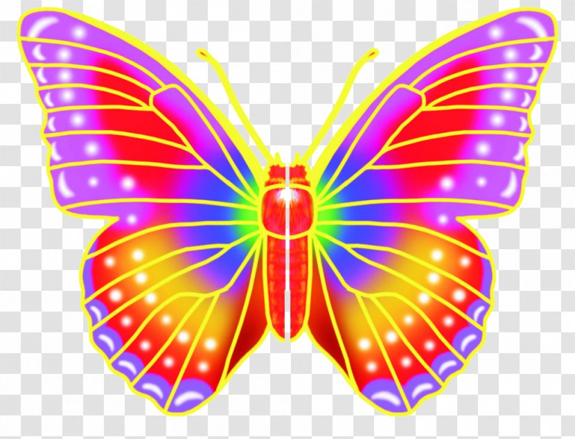 Monarch Butterfly - Colorful Transparent PNG