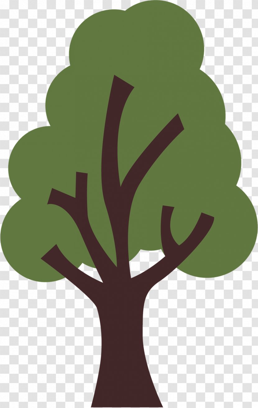 Branch Tree Drawing Paper Design - Oak - Fazenda De Perfume Outono Transparent PNG