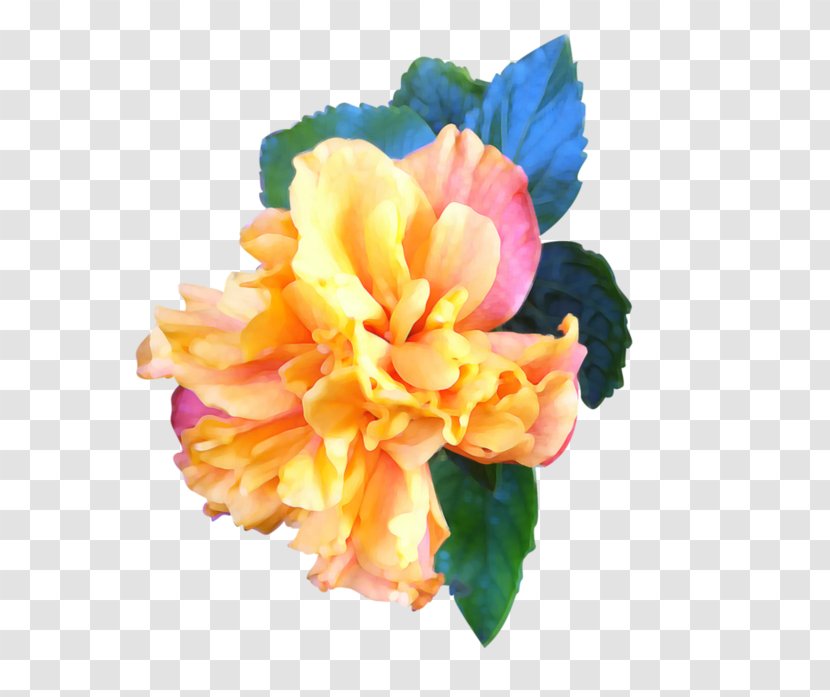 Digital Art Carnation Photograph Flower - Deviantart - Fhoto Pictogram Transparent PNG