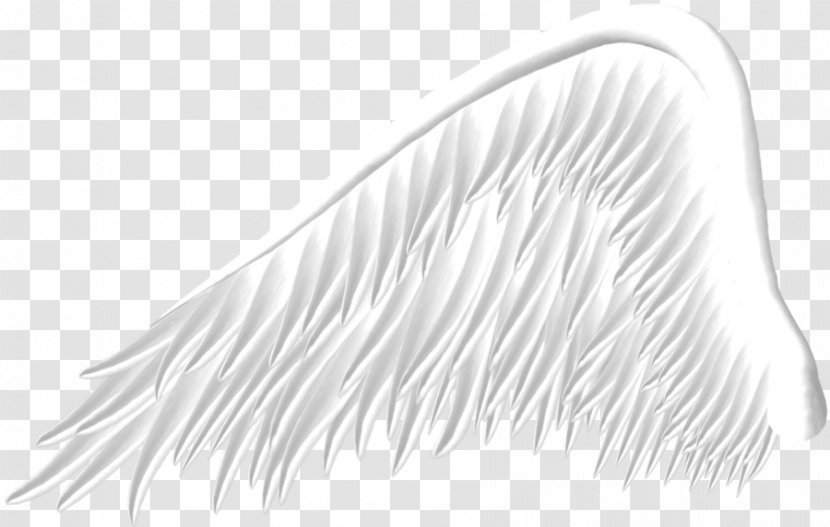 Wing PicsArt Photo Studio - Black And White - Wings Transparent PNG