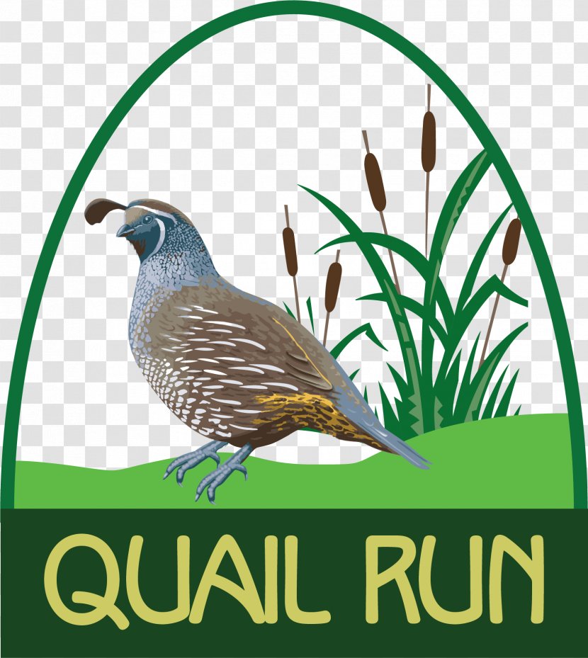 Richland Center Quail Run Golf Links Course County Highway Y - Grass Transparent PNG