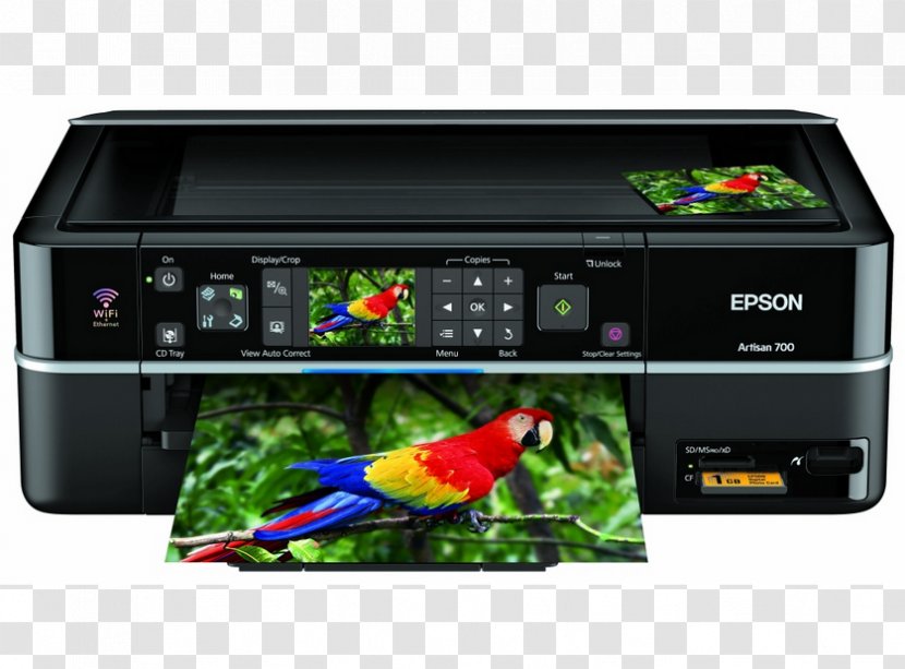 Printer Epson Artisan 700 Inkjet Printing Device Driver - Multimedia Transparent PNG