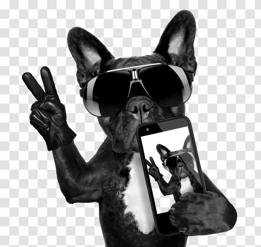 French Bulldog - Nonsporting Group - Gesture Hand Transparent PNG