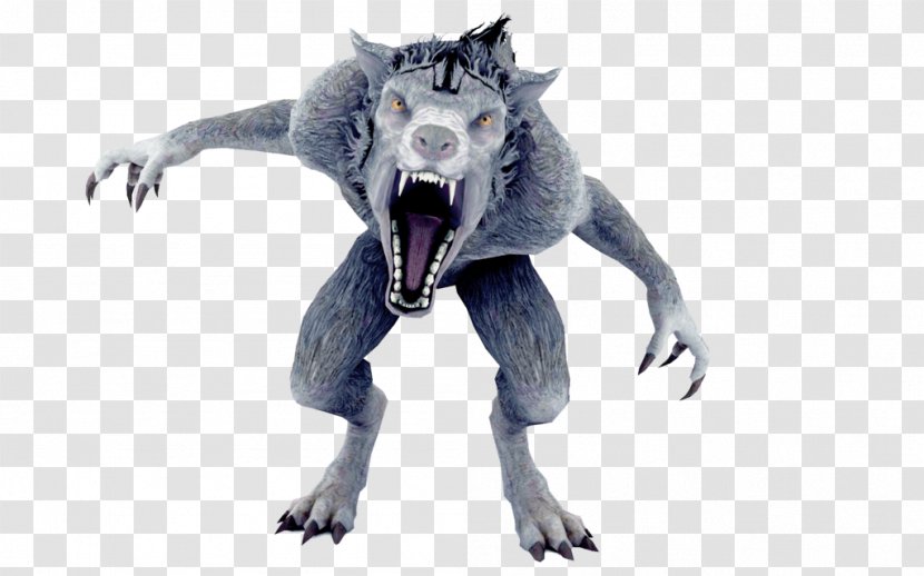 Werewolf Gray Wolf Animaag Legendary Creature Transparent PNG