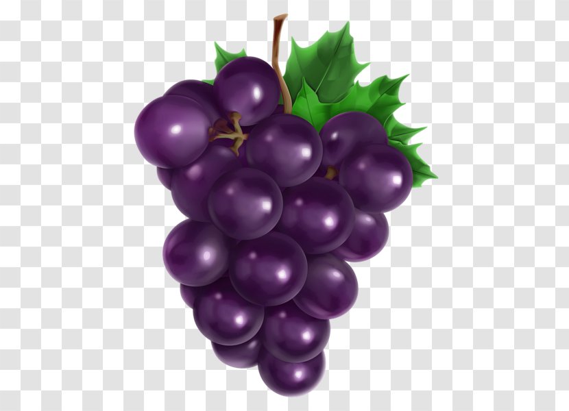 Common Grape Vine Seed Oil Avocado - Extract - Three-dimensional Cartoon Purple Grapes Transparent PNG