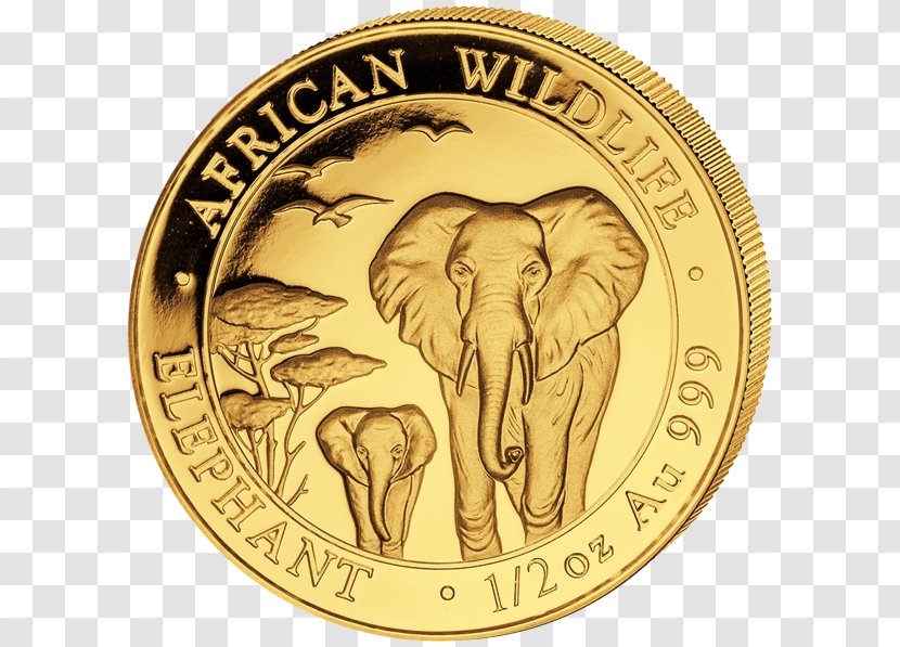 South Africa Rand Refinery Krugerrand Gold Coin Bullion - American Buffalo Transparent PNG
