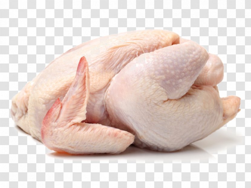 Broiler Cornish Chicken As Food Meat Poultry - Animal Fat Transparent PNG