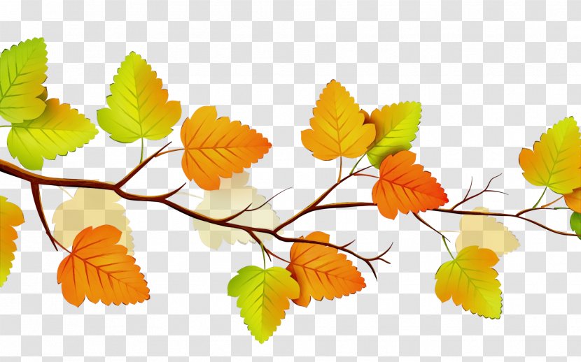 Autumn Tree Silhouette - Plant Stem Deciduous Transparent PNG
