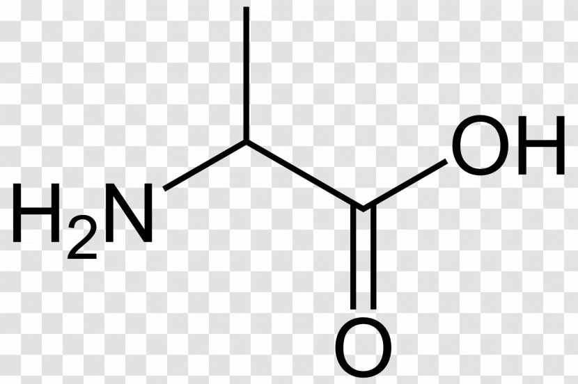 Proteinogenic Amino Acid Proline Branched-chain Essential Transparent PNG