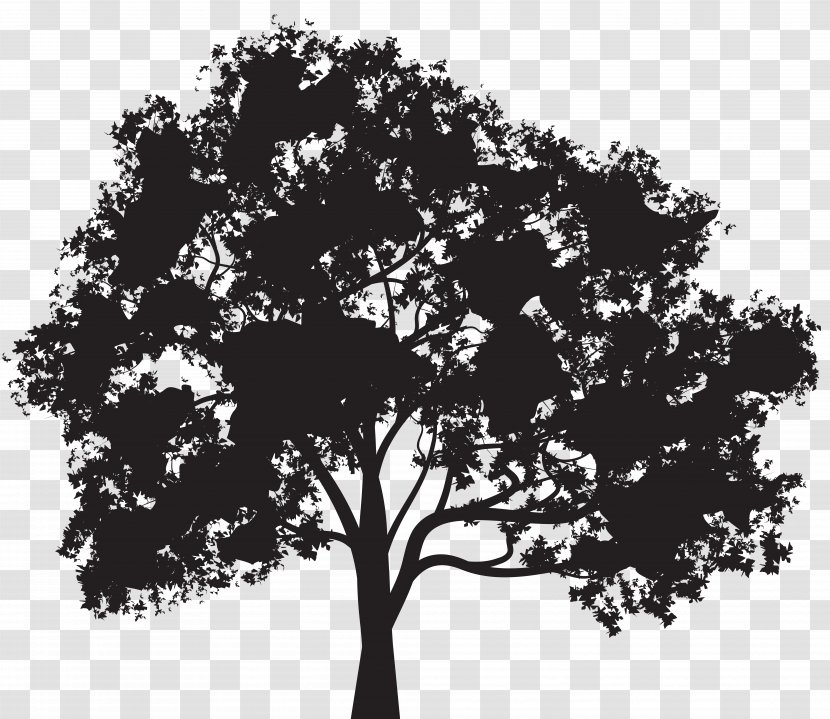 Tree Silhouette Clip Art - Branch - Oak Transparent PNG