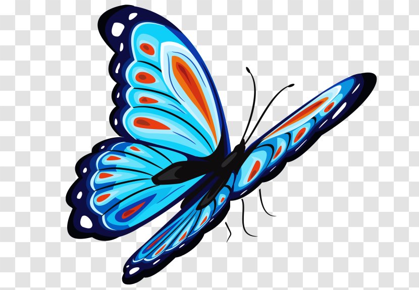 Butterfly Clip Art - Display Resolution Transparent PNG