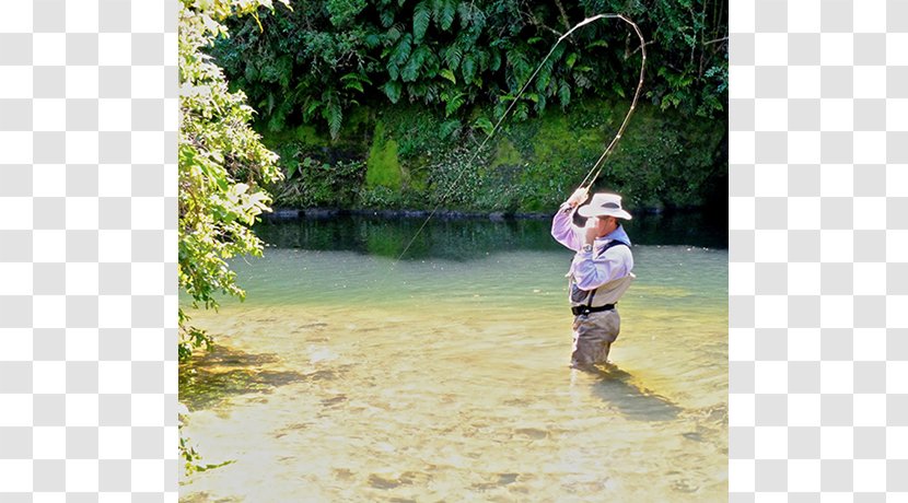 Fly Fishing Vertebrate Water Resources Leisure Vacation - Recreational - Tying Transparent PNG