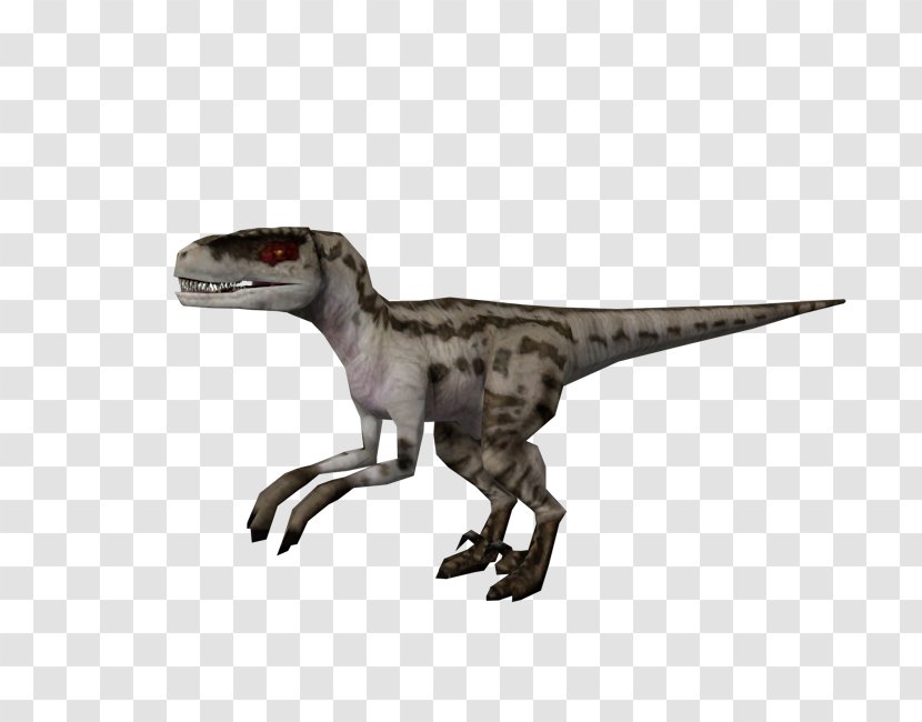 Velociraptor Jurassic Park: Operation Genesis World Evolution Tyrannosaurus YouTube - Youtube Transparent PNG
