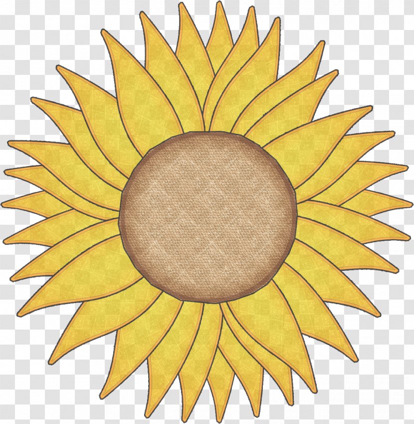 Sunflower - Yellow - Flower Plant Transparent PNG