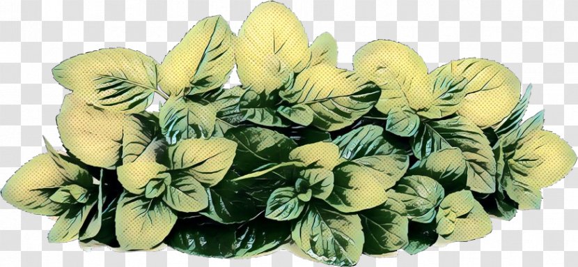 Floral Flower Background - Petal - Monkshood Anthurium Transparent PNG