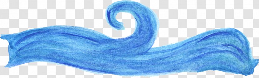 Marine Mammal Wind Wave - Shoe Transparent PNG