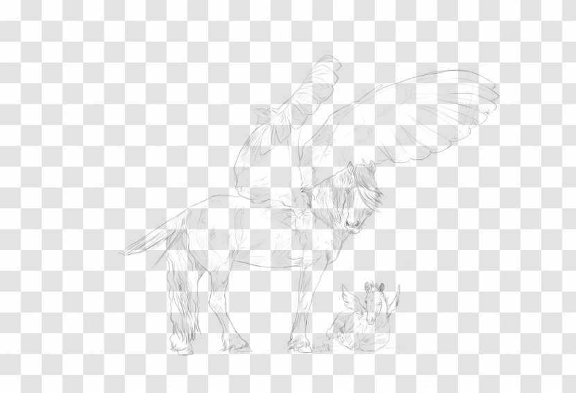 Line Art Drawing Horse Sketch Transparent PNG