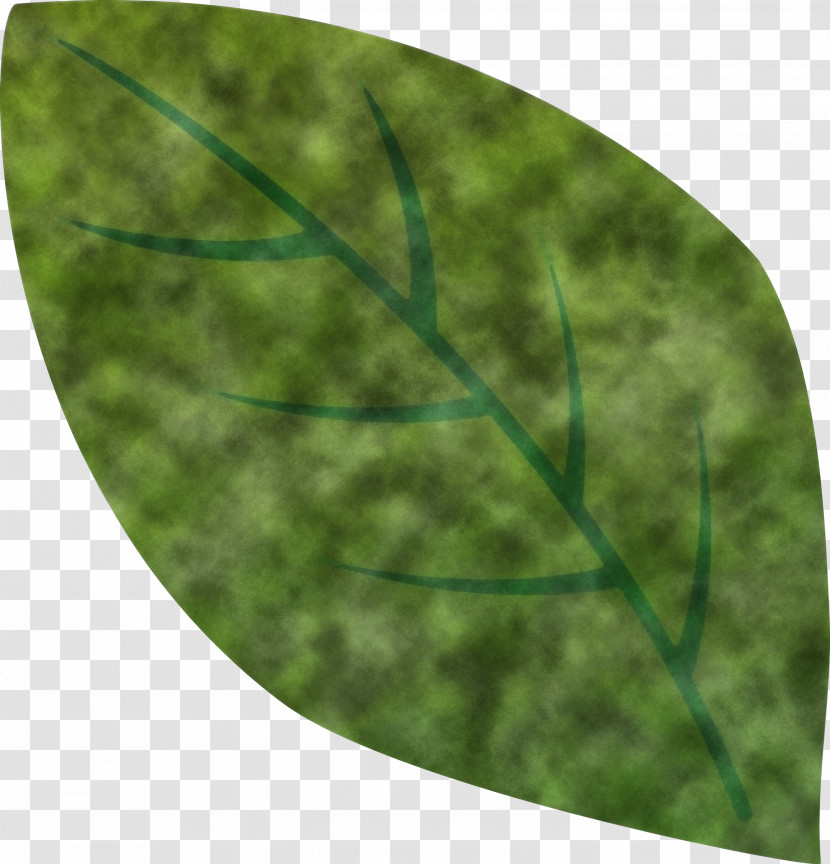 Leaf Transparent PNG