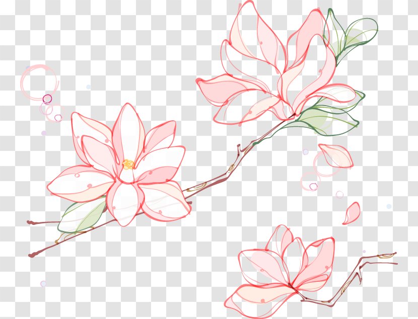 Euclidean Vector Flower Southern Magnolia - Pine - Artwork Transparent PNG