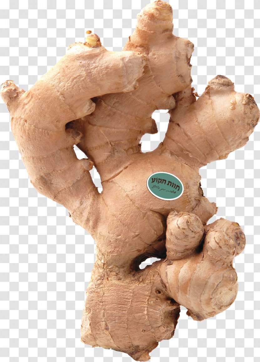 Ginger Root Vegetables Spice - Asian Cuisine - Health Benefits Of Garlic Transparent PNG