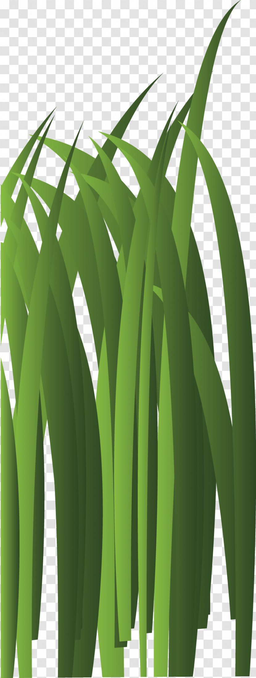 Bambusodae Green Leaf Plant Stem Tree - Computer Graphics - Grass Elements Transparent PNG