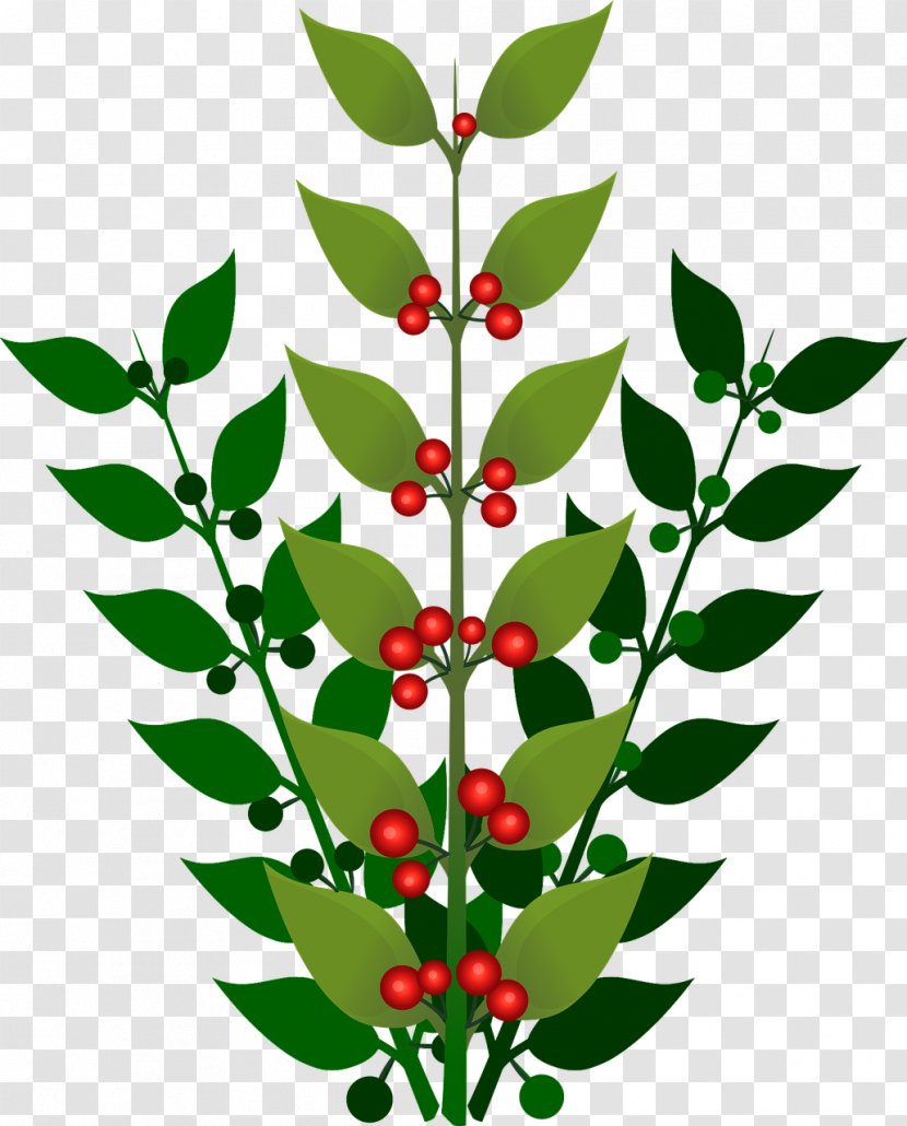 Berry Branch Clip Art - Strawberry Transparent PNG