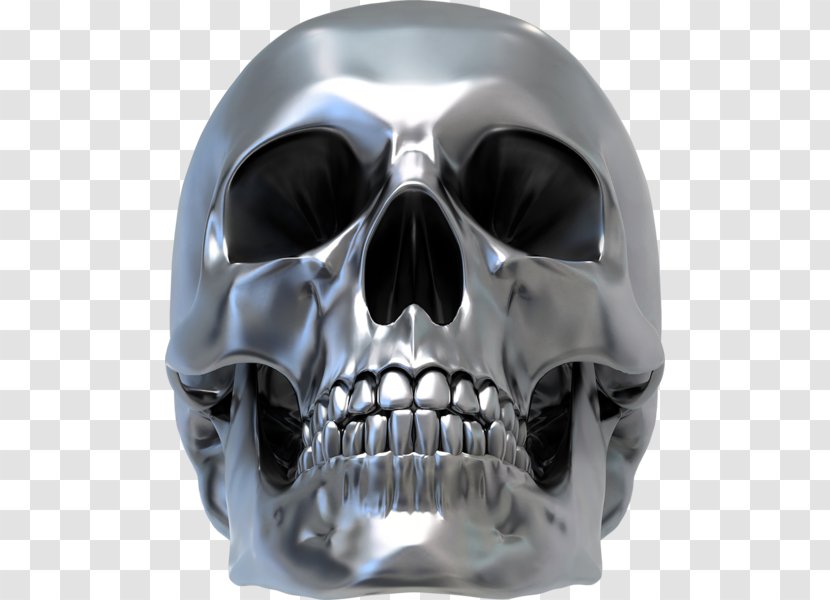 Skull Drawing 3D Computer Graphics Bone - Print Transparent PNG
