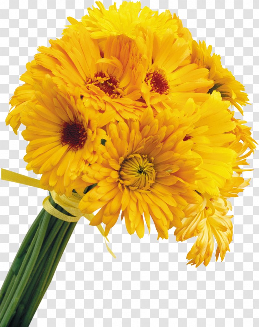 Yellow Cut Flowers Color - White - Small Transparent PNG