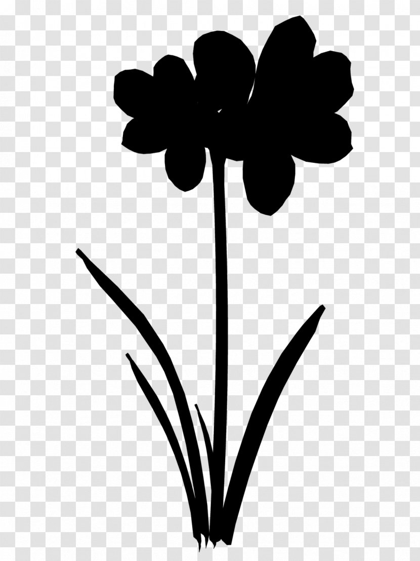 Cut Flowers Plant Stem Clip Art Leaf Line - Botany Transparent PNG