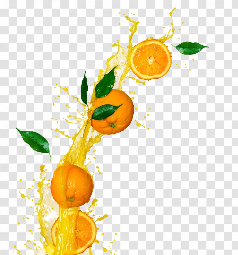 Orange Juice Juicer Fruit - Pictures Transparent PNG