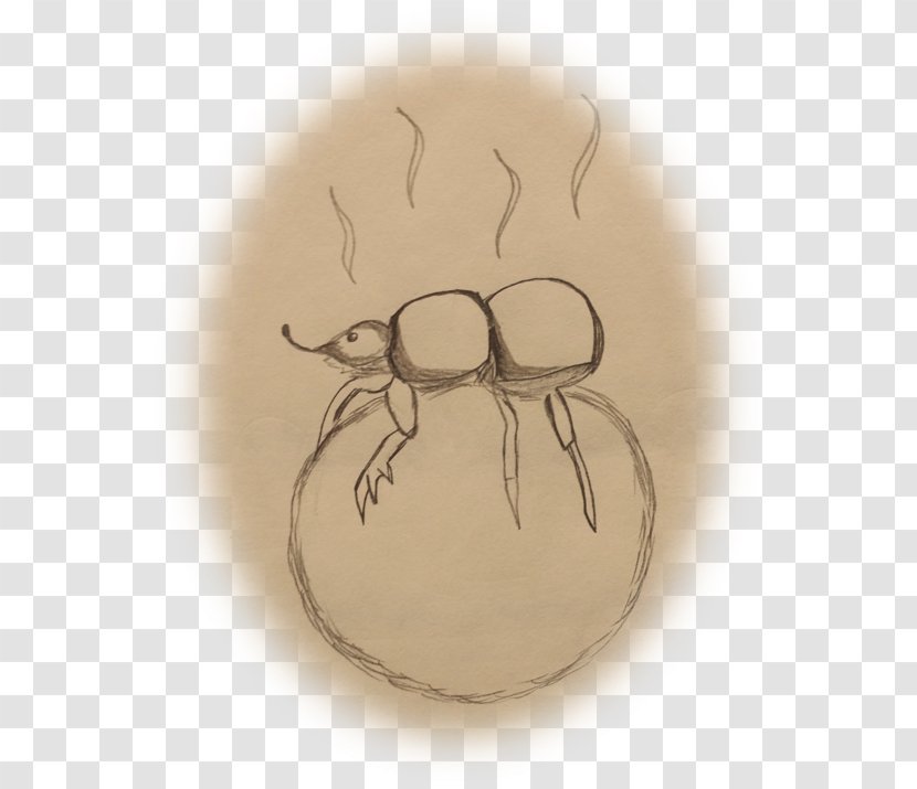 Drawing Invertebrate Nose Transparent PNG