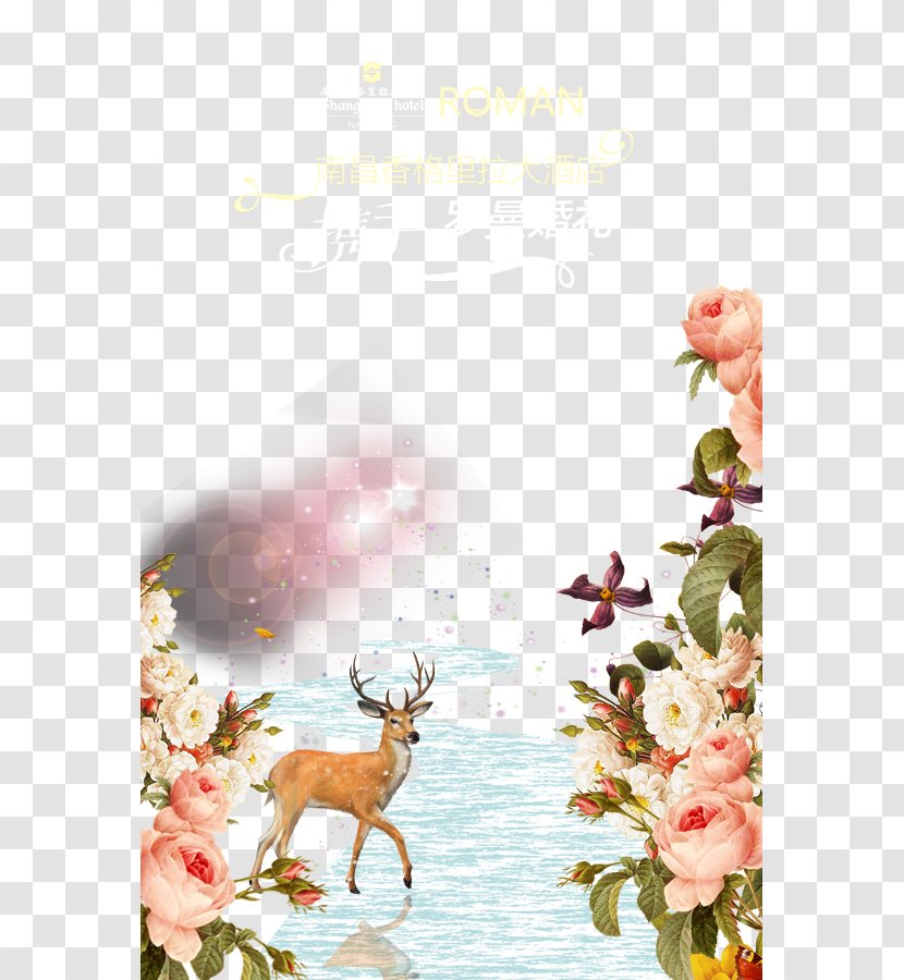Poster - Pink - Elk Forest Beautiful Flowers Background Transparent PNG